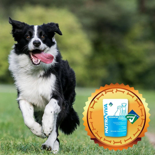 Advanced Mobility Formula for Dogs collagen