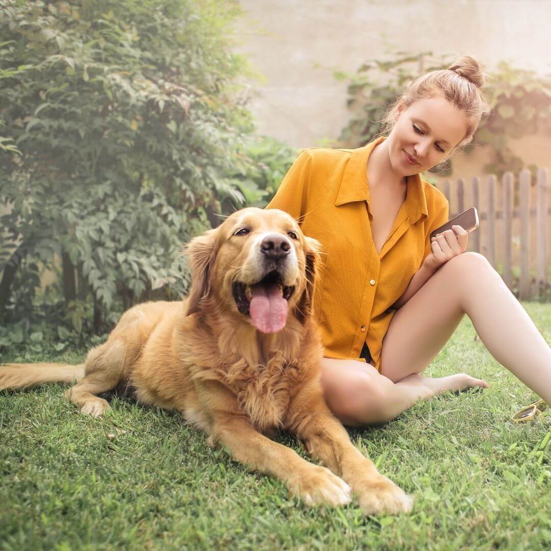 essential guide to pet collagen blog