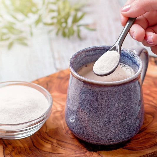 ingestible collagen powder