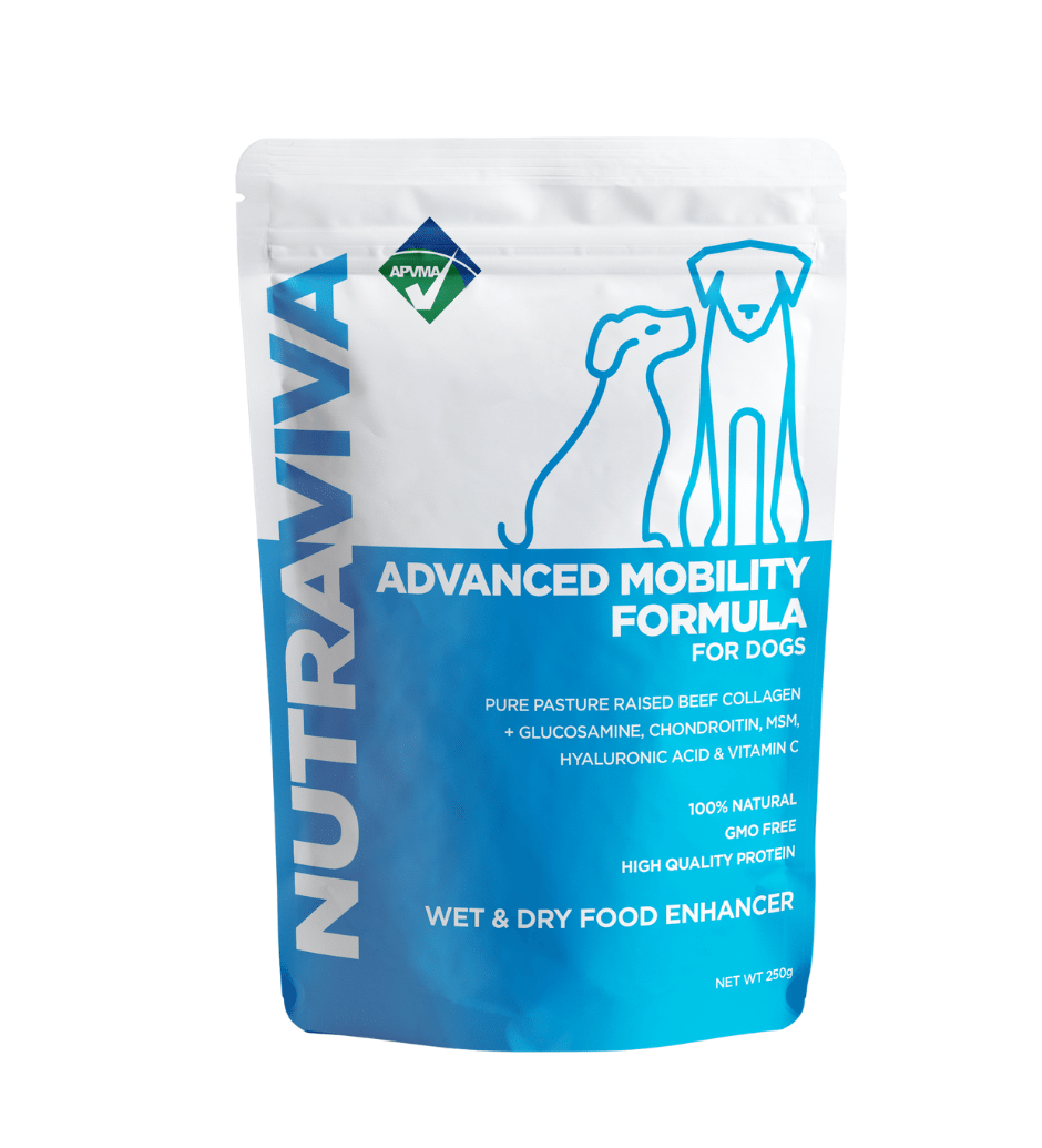 pet joint supplement