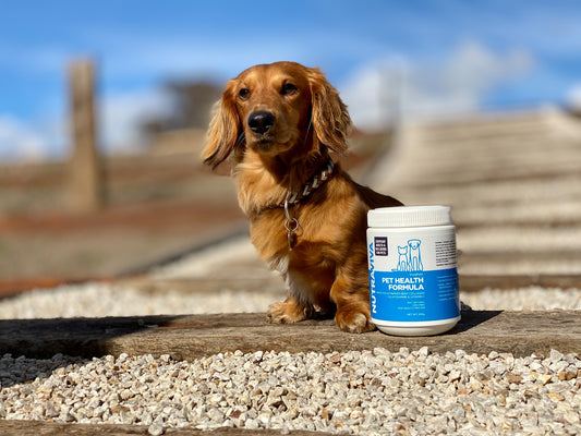 pet health collagen formula