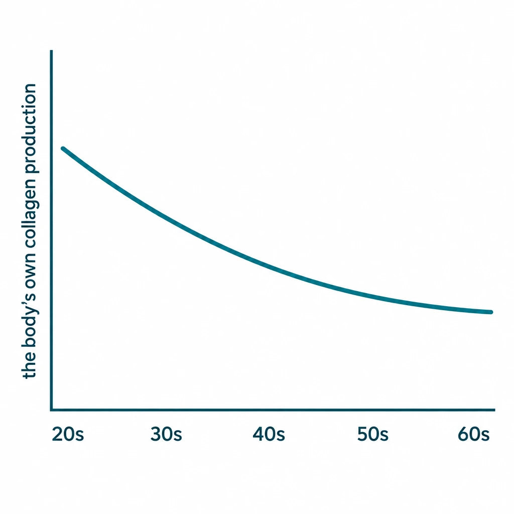 Line graph showing the body's own collagen production declining gradually from the twenties through the sixties